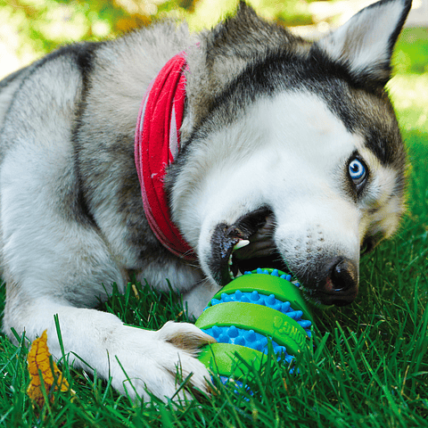 Pelota Squeezz Goomz