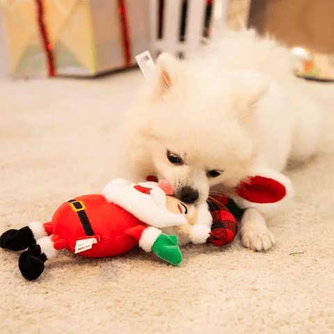 Pack Navidad perro pequeño