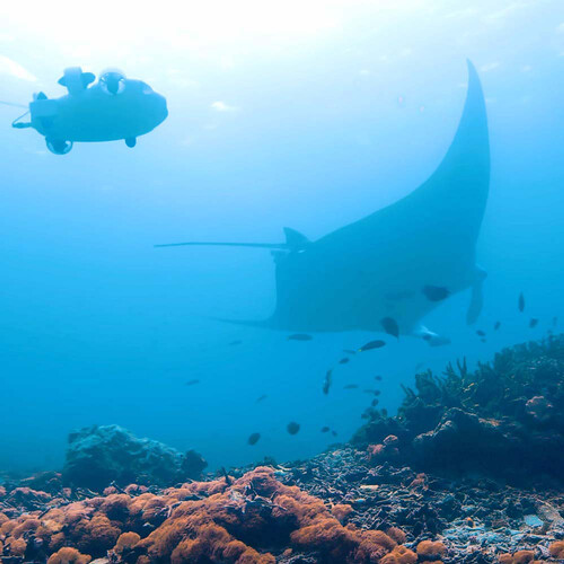 FIFISH V-EVO QYSEA  Submarino AI ROV con brazo robótico.