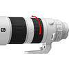 Sony FE 200-600mm f5.6-6.3 G OSS 4