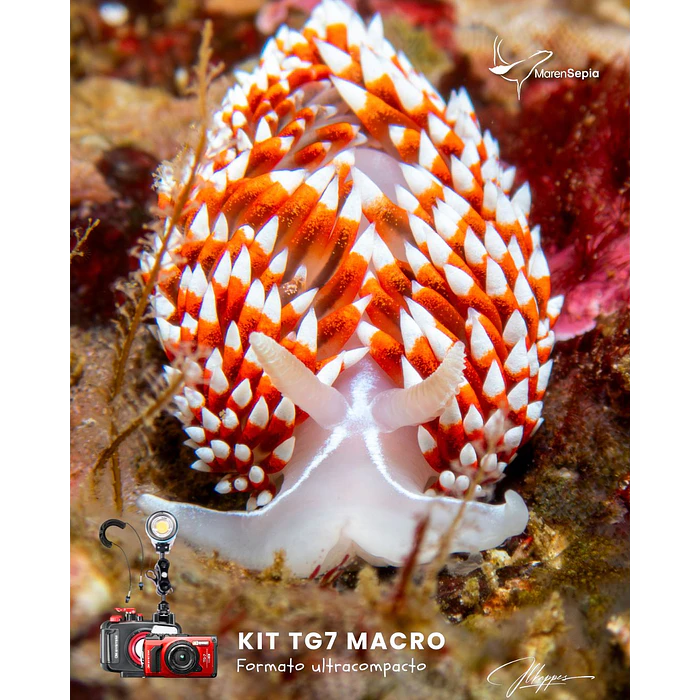 KIT TG7 MACRO WEEFINE 4500 4