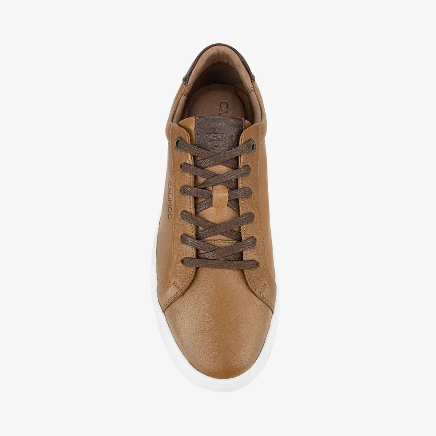Zapatillas Hombre Tan 1UJI001 5
