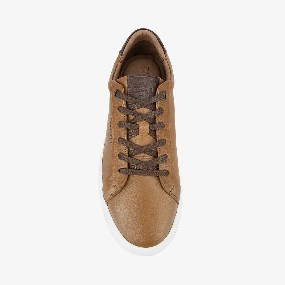 Zapatillas Hombre Tan 1UJI001 5