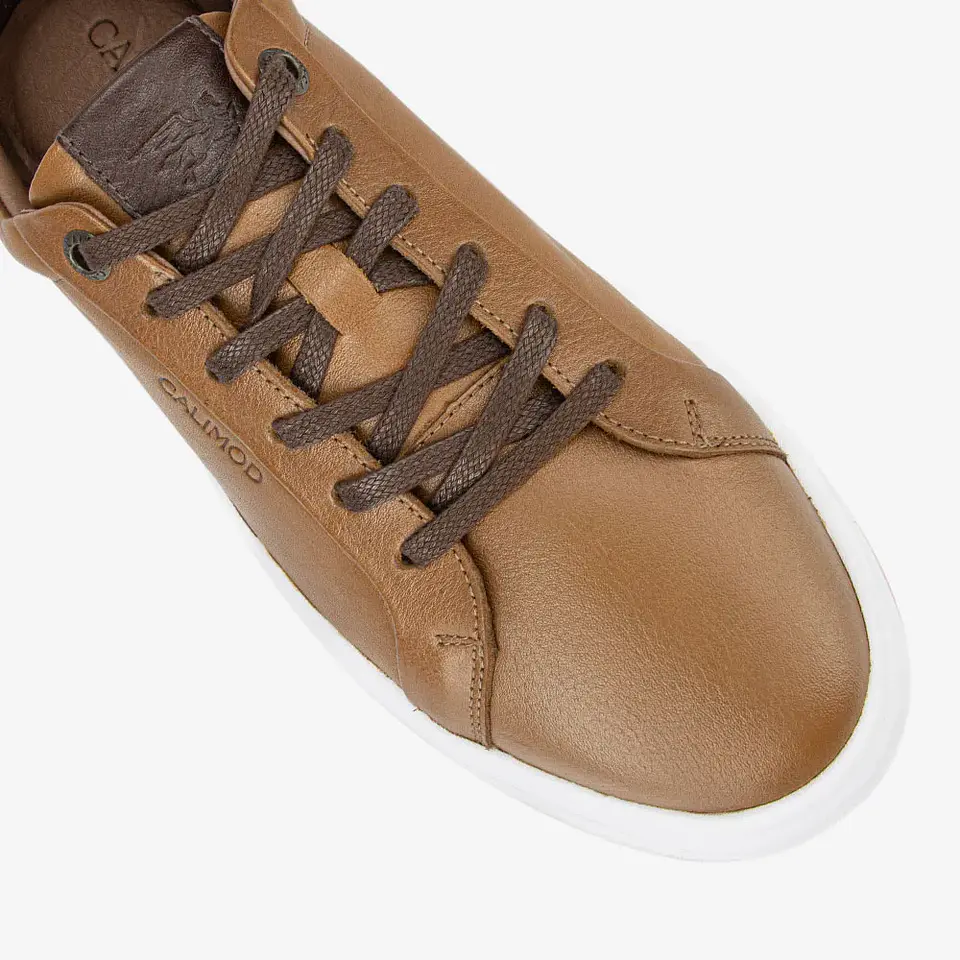 Zapatillas Hombre Tan 1UJI001 6