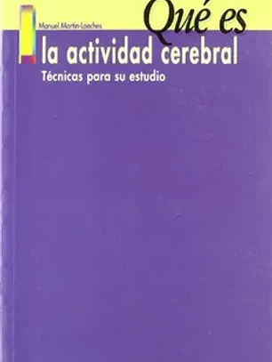 Qué es la actividad cerebral: técnicas para su estudio