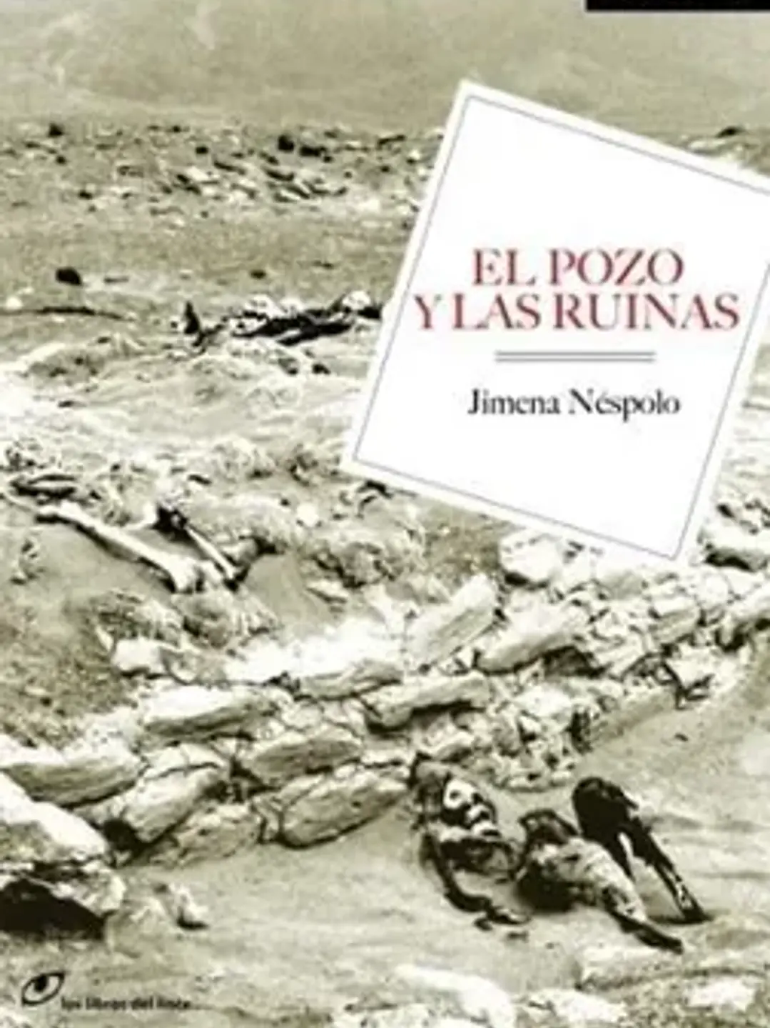 El pozo y las ruinas 1