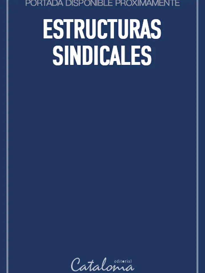Estructuras sindicales 1