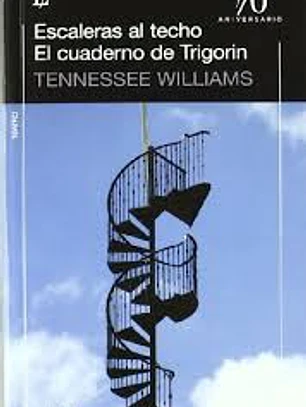 Escaleras al techo el cuaderno