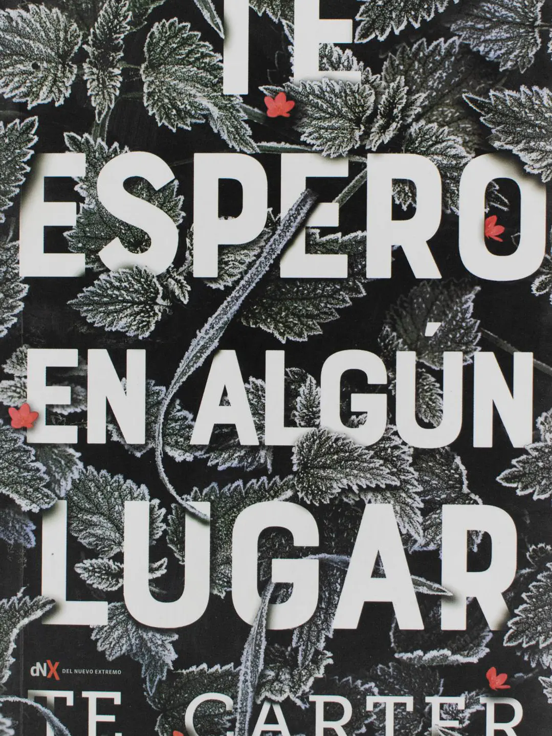 Te espero en algún lugar 1