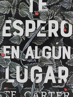 Te espero en algún lugar
