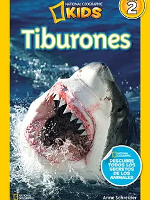 Tiburones, nivel 2