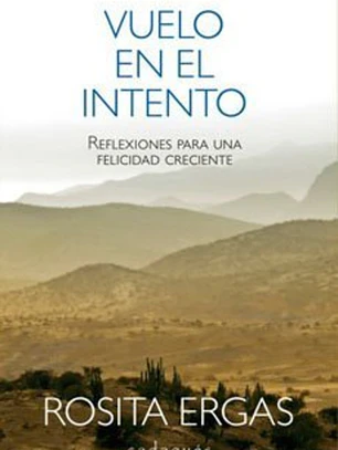 Vuelo en el intento