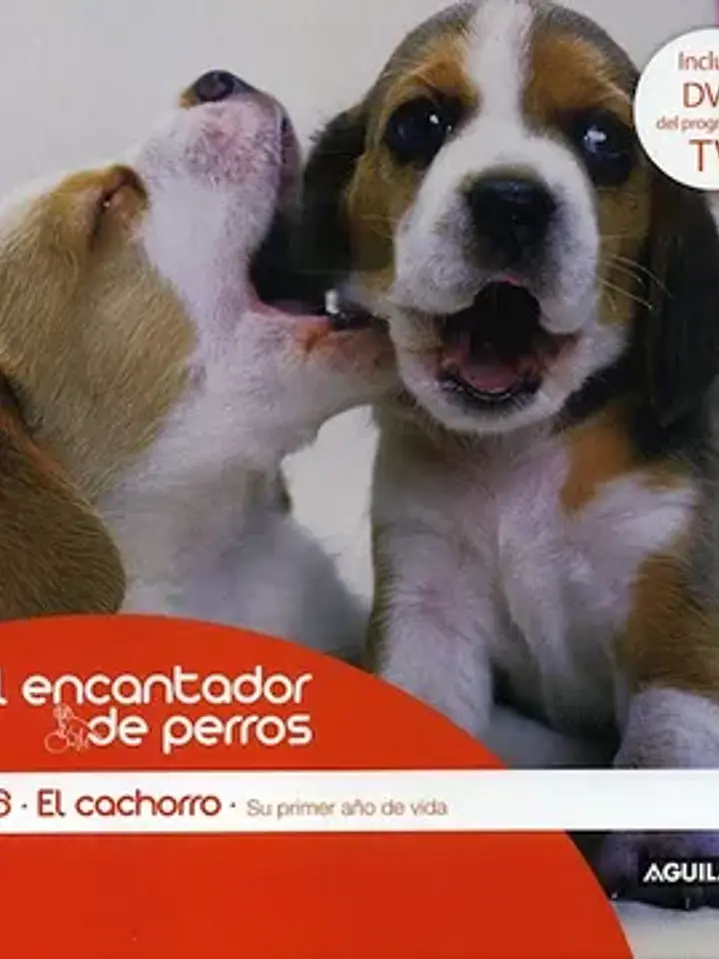 Cachorro su primer año 1