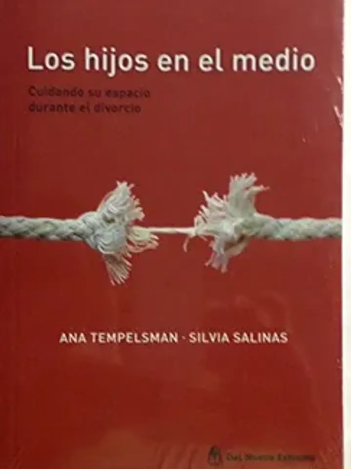 Los hijos en el medio: cuidando su espacio durante el divorcio 1