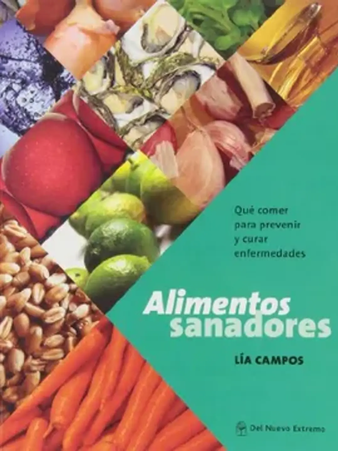 Alimentos sanadores 1