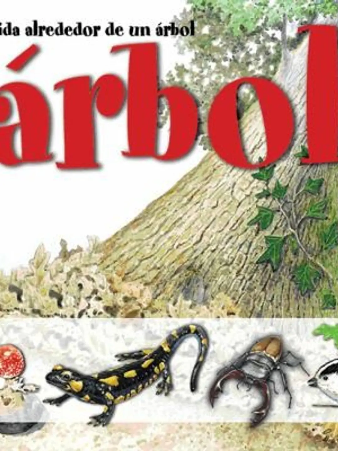 La vida alrededor 1