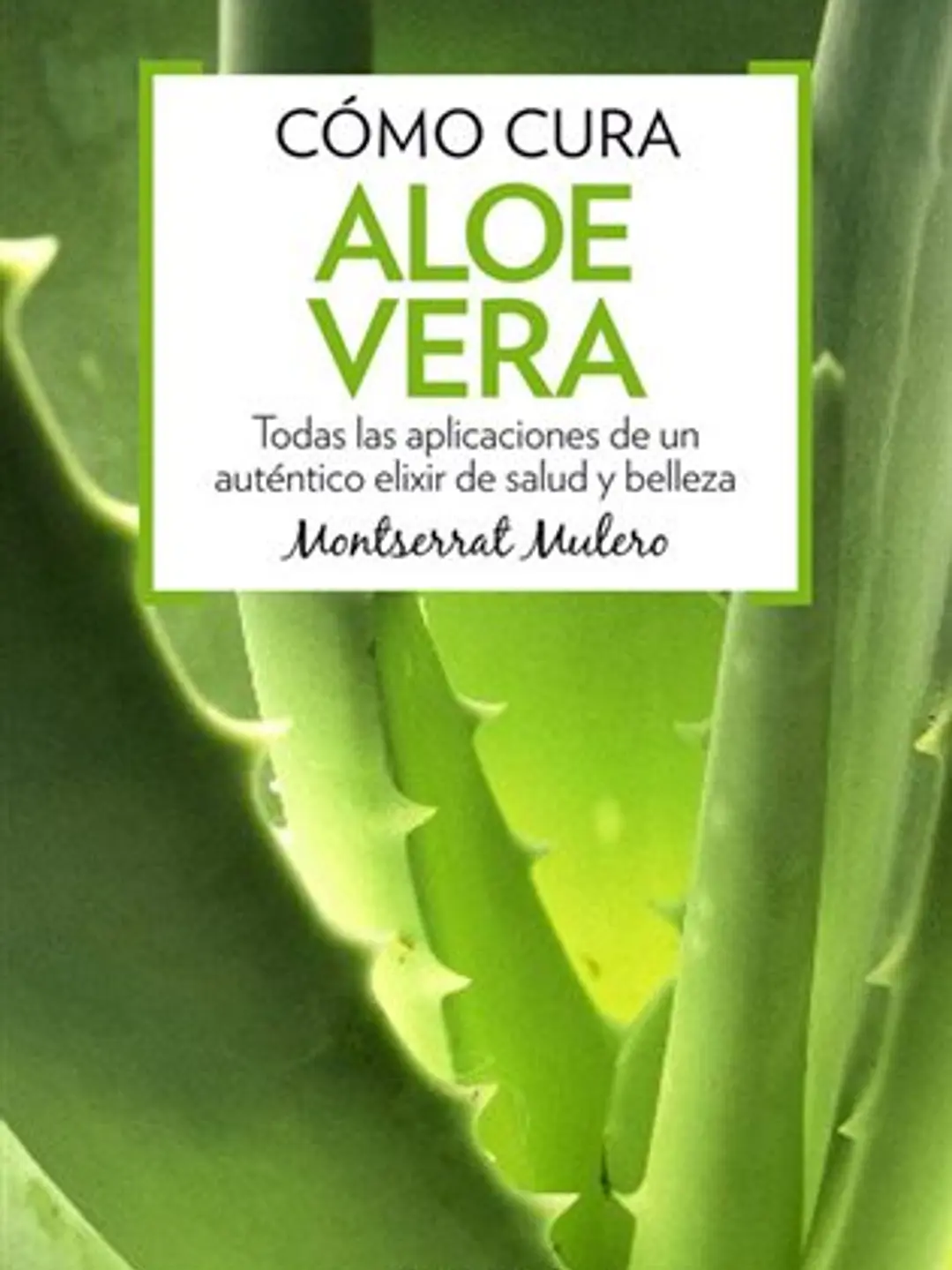 Cómo cura el aloe vera (salud) 1