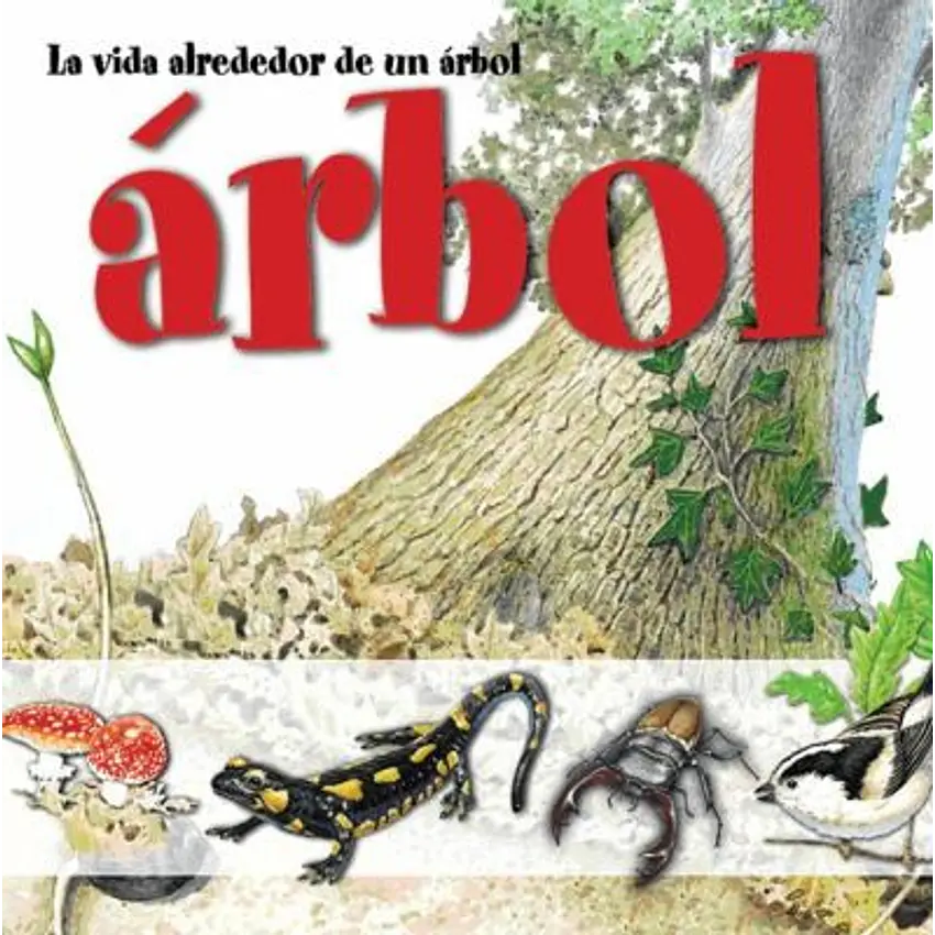 La vida alrededor 1