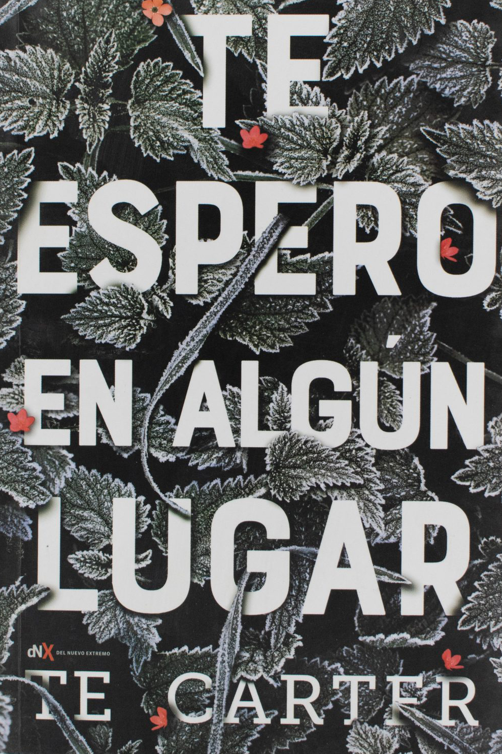 Te espero en algún lugar