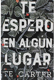 Te espero en algún lugar