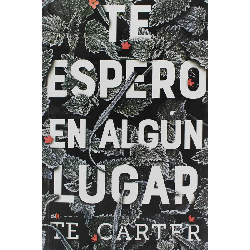 Te espero en algún lugar 1