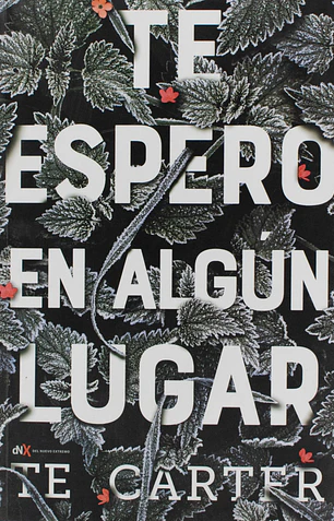 Te espero en algún lugar