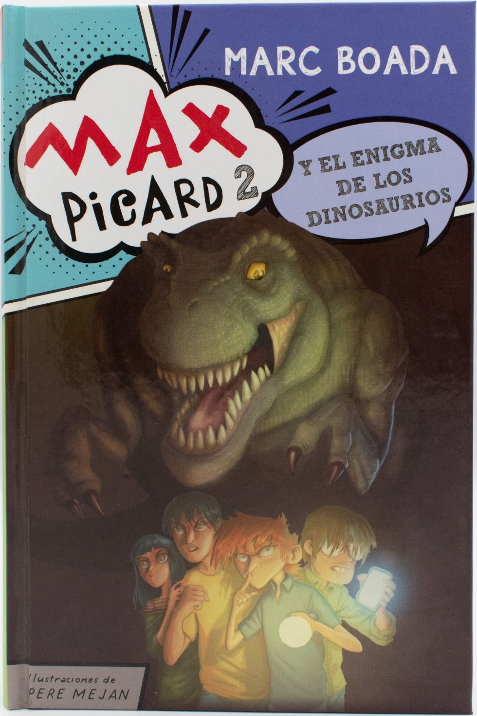 Max picard y el enigma
