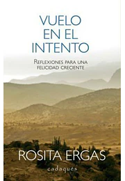 Vuelo en el intento