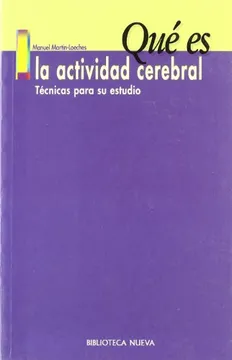 Qué es la actividad cerebral: técnicas para su estudio