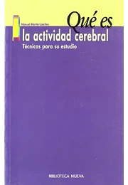 Qué es la actividad cerebral: técnicas para su estudio