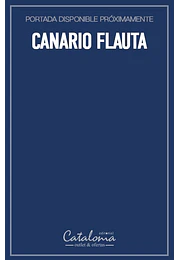 Gramatica pura ( novela )