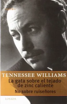 Gata sobre el tejado de zinc