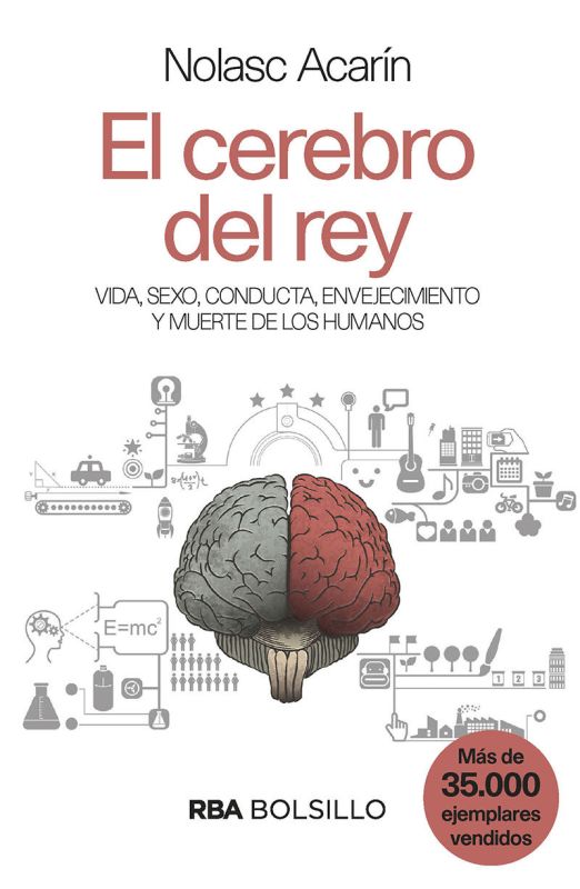 Cerebro del rey, el (bolsillo)