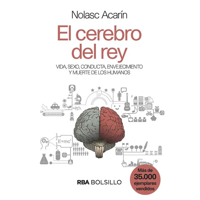 Cerebro del rey, el (bolsillo) 1