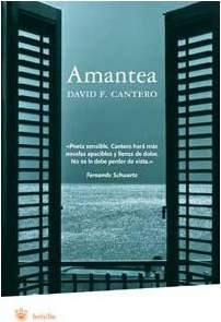AMANTEA - (B)