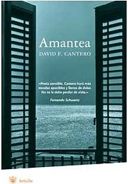 AMANTEA - (B)