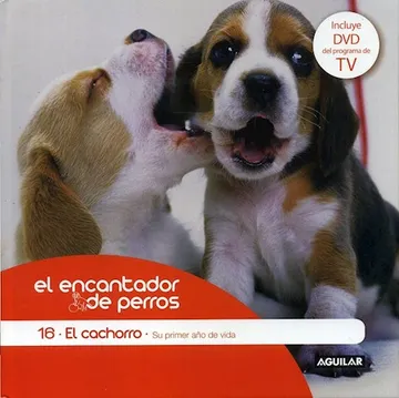 Cachorro su primer año
