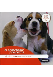 Cachorro su primer año