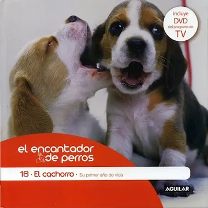 Cachorro su primer año 1