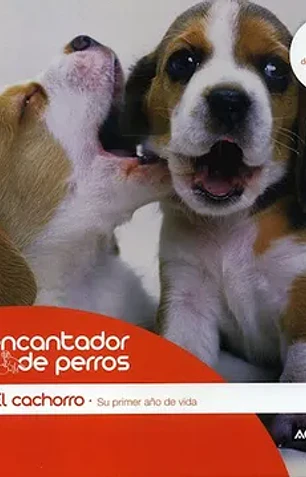 Cachorro su primer año