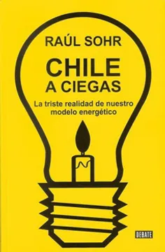 Chile a ciegas. La triste realidad de nuestro mode