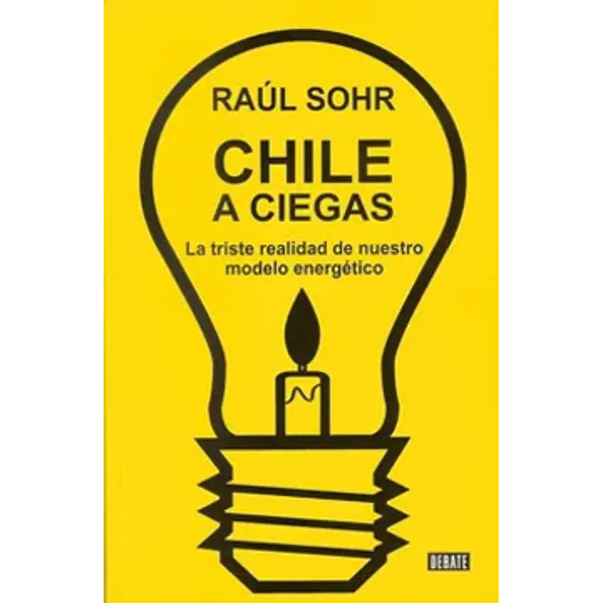 Chile a ciegas. La triste realidad de nuestro mode 1