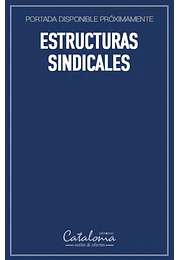 Estructuras sindicales
