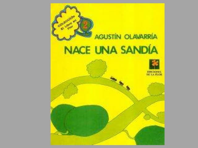 Nace una sandía