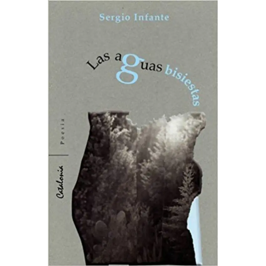 Aguas bisiestas 1