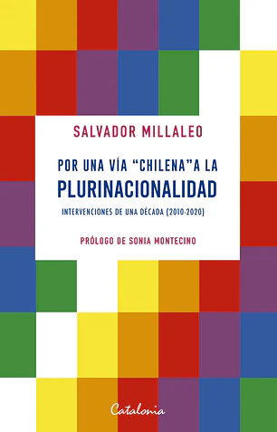 Por una vía chilena a la plurinacionalidad