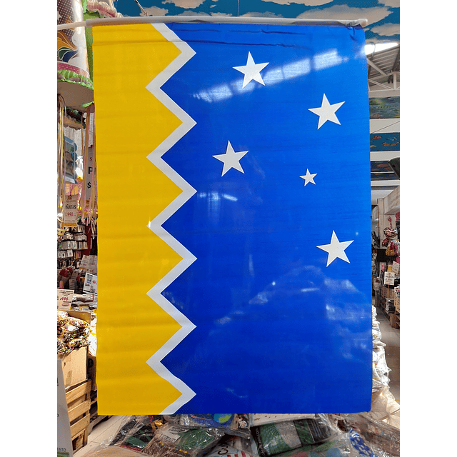 Bandera Región de Magallanes 