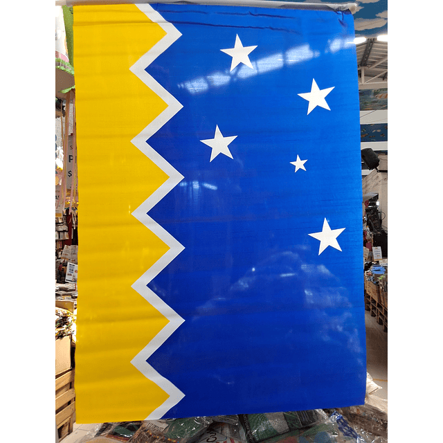 Bandera Región de Magallanes 