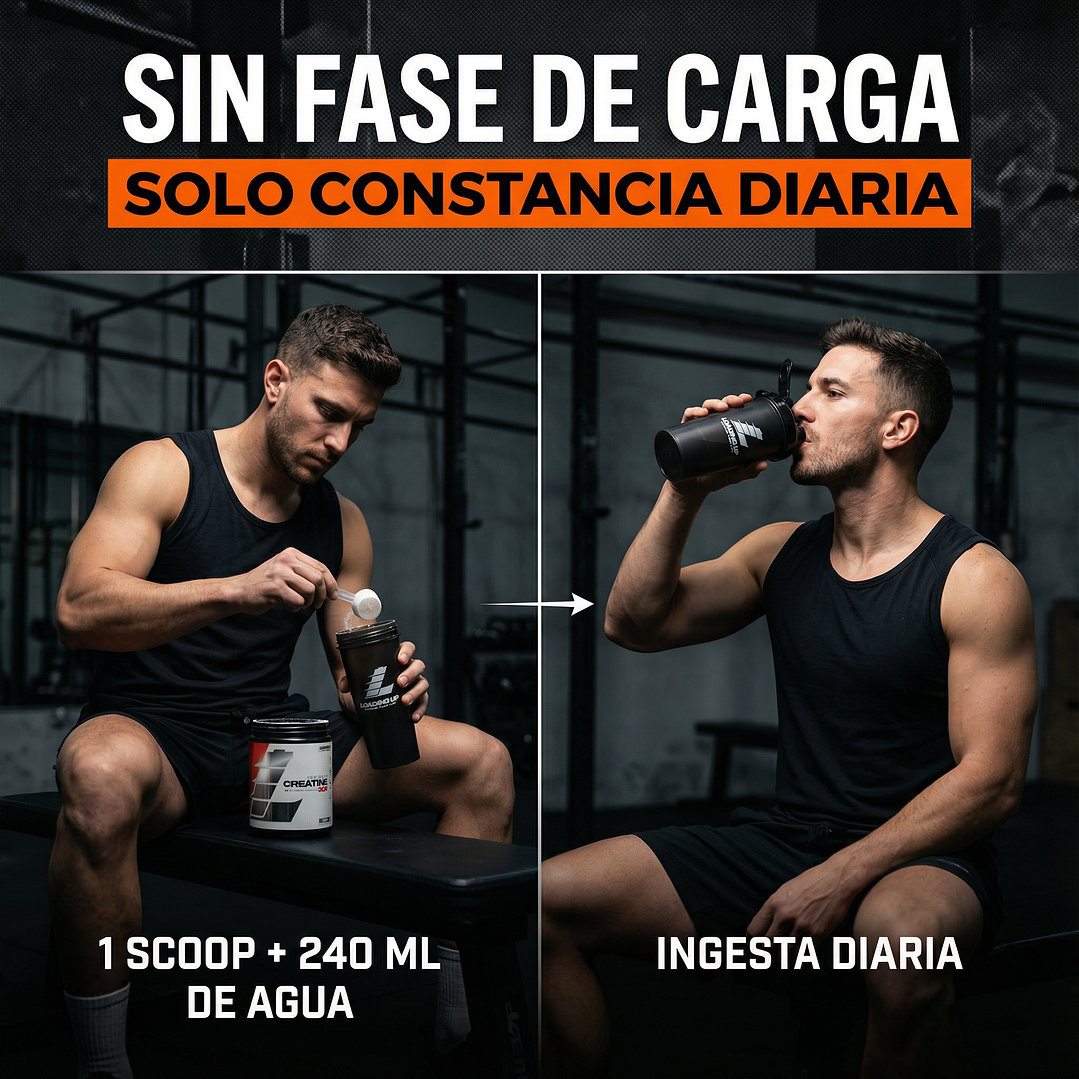 Creatina Monohidratada Loading UP 300grs 5