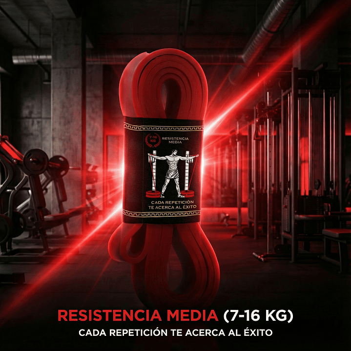 Bandas Elásticas TitanFIT 2